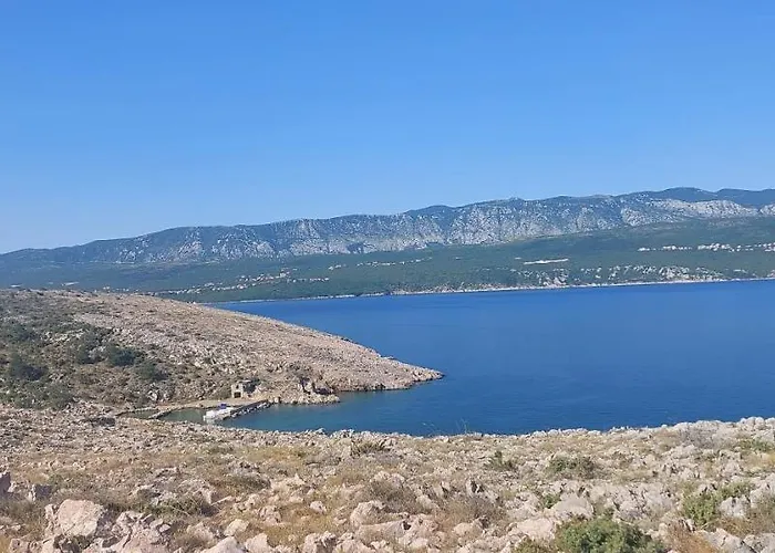 Dajana 4+2 Cizici